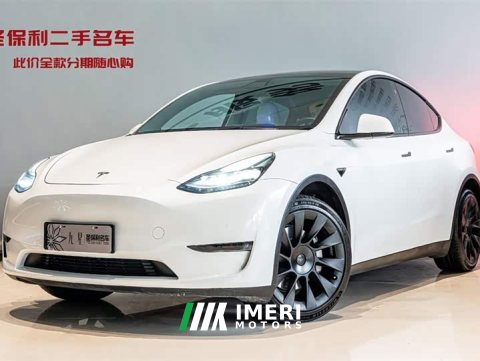 2023 Model Y 2022 facelift, long-range all-wheel drive version - автомобиль из Китая
