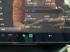 Tesla Model 3 Edition - фото 6