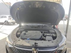 Changan X5 PLUS 1.5T DCT Version - фото 20