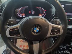 BMW X3 xDrive25i M Sports Package - фото 10