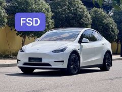 Tesla Model Y Long Range Edition - фото 1
