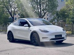 Tesla Model Y Long Range Edition - фото 2