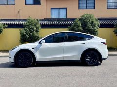 Tesla Model Y Long Range Edition - фото 4