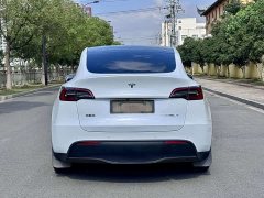 Tesla Model Y Long Range Edition - фото 6