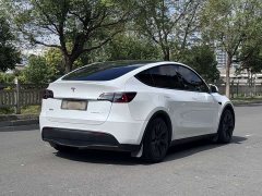 Tesla Model Y Long Range Edition - фото 7