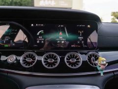 Mercedes-Benz AMG GT AMG GT 50 four-door sports car - фото 14