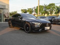 Mercedes-Benz AMG GT AMG GT 50 four-door sports car - фото 7