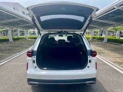 GAC GS4 PLUS 390T Edition - фото 9
