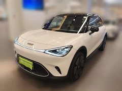 smart#1 Premium Edition - фото 1