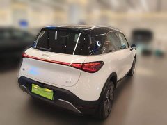 smart#1 Premium Edition - фото 10