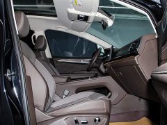 Lynk & Co Weiran 2024 380TSI Premium Edition - фото 19