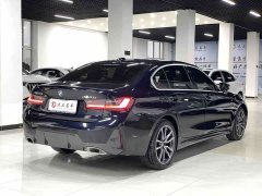 BMW 3 Series 320Li M Sport Package - фото 6