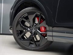 Audi RS Q8 RS Q8 4.0T - фото 10