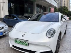 Ora 555km Premium Edition - фото 1