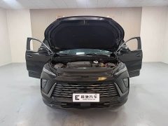 Lexus Envision Plus Envision Plus 28T two-wheel drive exclusive version - фото 15