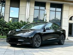 Tesla Model 3 Edition - фото 1