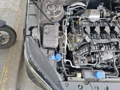 Changan 1.5T 500BarPremium Version - фото 20