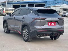 Jetour Monkey King 1.6T DCT Dragon Edition MAX - фото 10