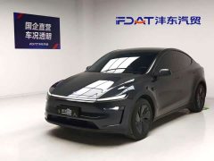 Tesla Model Y Edition - фото 1