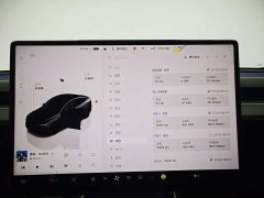 Tesla Model Y Edition - фото 16