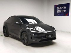 Tesla Model Y Edition - фото 3