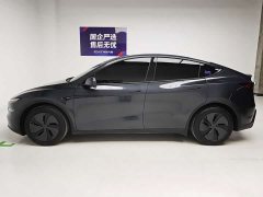 Tesla Model Y Edition - фото 9
