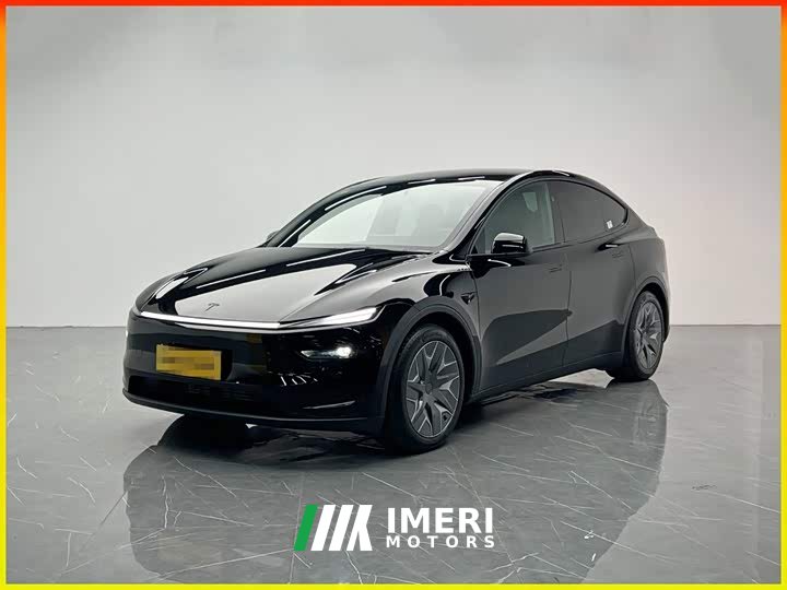 Tesla Model Y L Long Range Edition - автомобиль из Китая