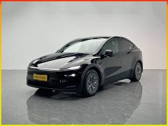 Tesla Model Y L Long Range Edition - фото 1