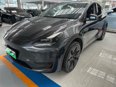 Tesla Model Y Edition - фото 1