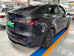 Tesla Model Y Edition - фото 15