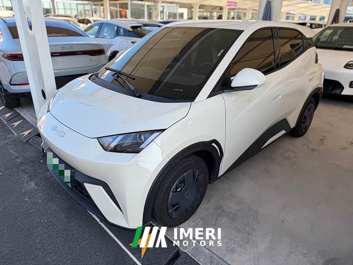 BYD 305km Edition - автомобиль из Китая