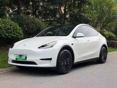 Tesla Model Y Edition - фото 1