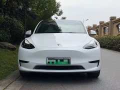 Tesla Model Y Edition - фото 2