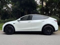 Tesla Model Y Edition - фото 3