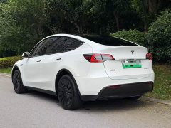 Tesla Model Y Edition - фото 4