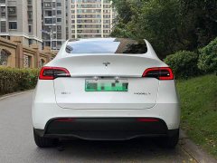 Tesla Model Y Edition - фото 5