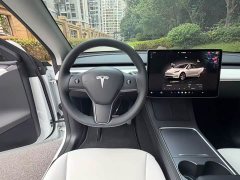 Tesla Model Y Edition - фото 9