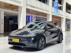 Tesla Model Y Long Range Edition - фото 1