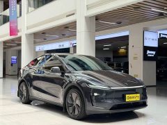 Tesla Model Y Long Range Edition - фото 3