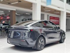 Tesla Model Y Long Range Edition - фото 5