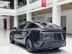 Tesla Model Y Long Range Edition - фото 7