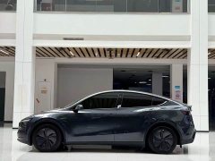 Tesla Model Y Long Range Edition - фото 8