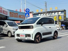 BYD KiWi EV Edition - фото 2