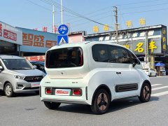 BYD KiWi EV Edition - фото 3