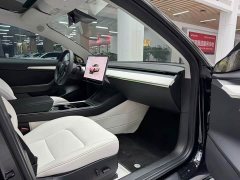 Tesla Model 3 Edition - фото 15