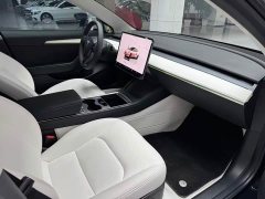 Tesla Model 3 Edition - фото 19