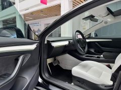 Tesla Model 3 Edition - фото 8