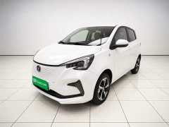 BYD E-Star Edition - фото 1