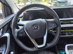 BYD E-Star Edition - фото 11