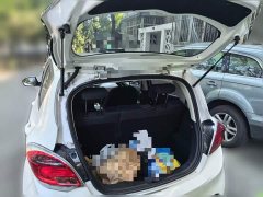 BYD E-Star Edition - фото 20